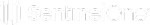 SentinelOne_idXD-FFB9W_1 1